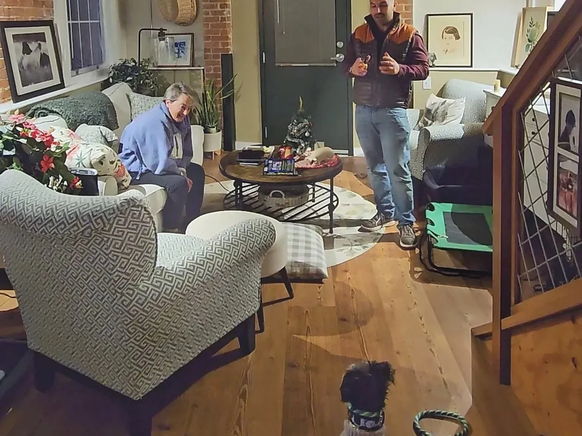 Small dog on a leash during the final board and train session in a family&rsquo;s living room in Rhode Island