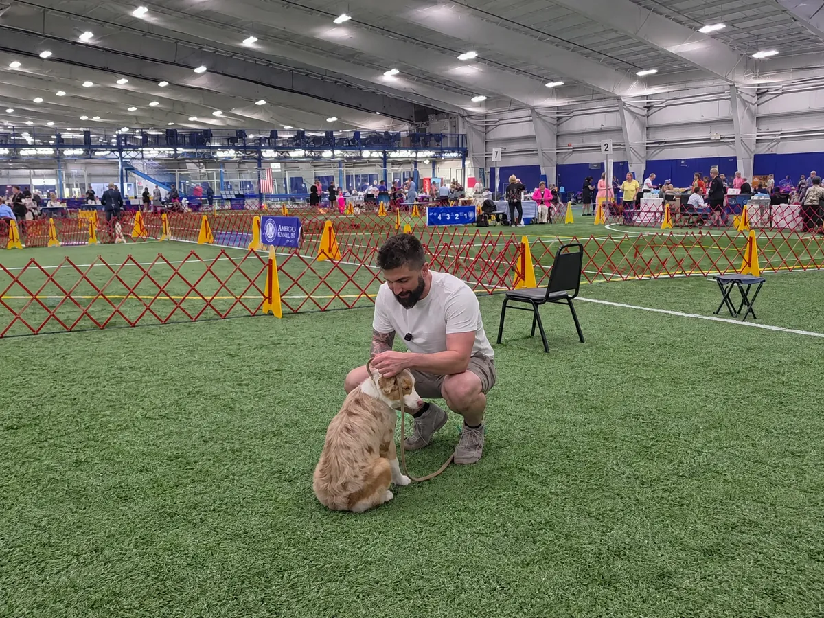 Puppy Training in Rhode Island
